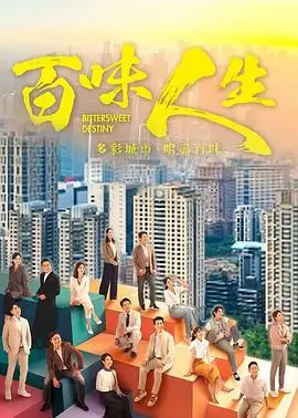 大唐荣耀 电视剧海报